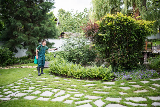 Best Pest Control Near Me in Lakeview, WA