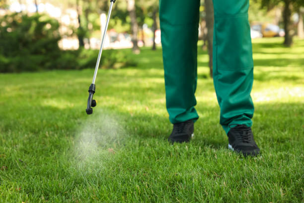 Best Wasp Removal Services  in Lakeview, WA