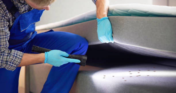 Best Pest Control Treatment  in Lakeview, WA