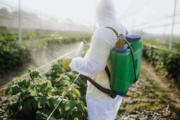 Best Pest Control for Homes  in Lakeview, WA